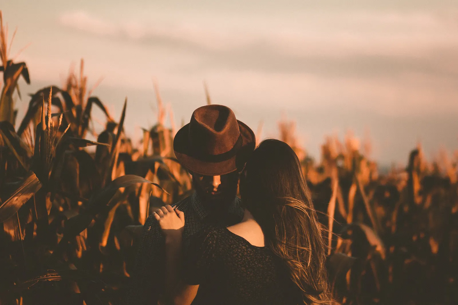Couple embracing in a cornfield at golden hour